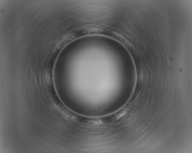 X0000076440715200610061257