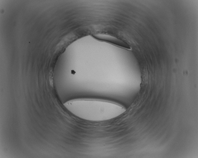 X0000076440719200610061257