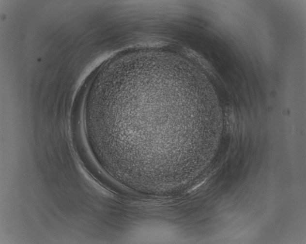 X0000076440726200610061257