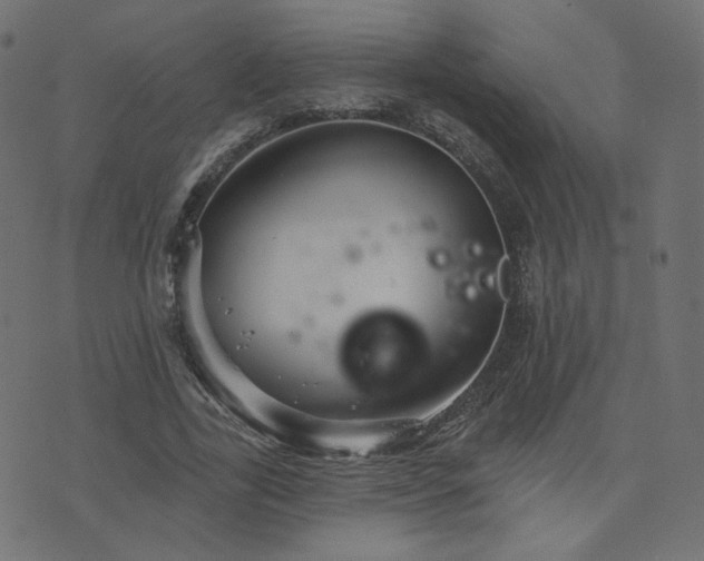 X0000076440731200610061257