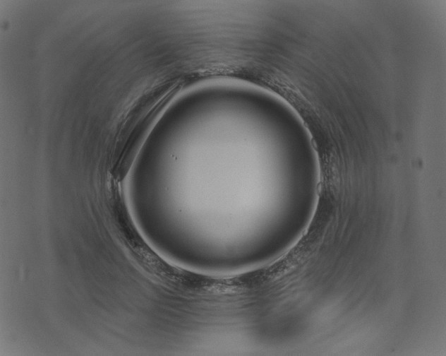 X0000076440742200610061257