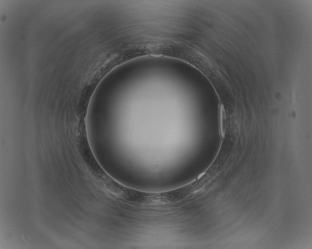 X0000076440750200610061257