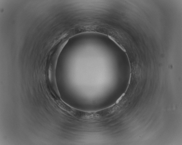 X0000076440752200610061257