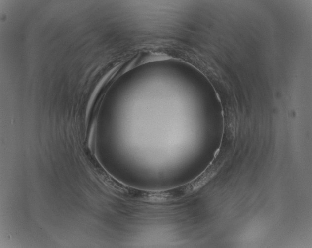 X0000076440758200610061257