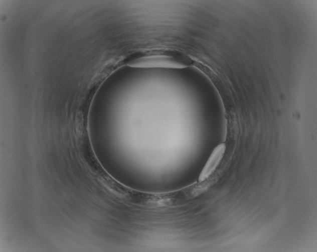 X0000076440760200610061257