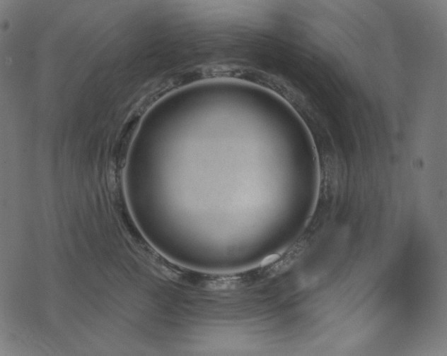 X0000076440761200610061257