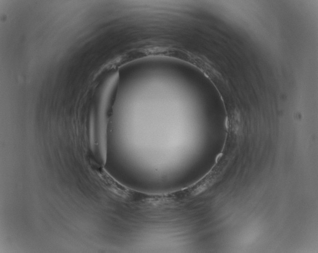 X0000076440763200610061257