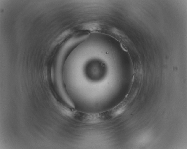 X0000076440767200610061257