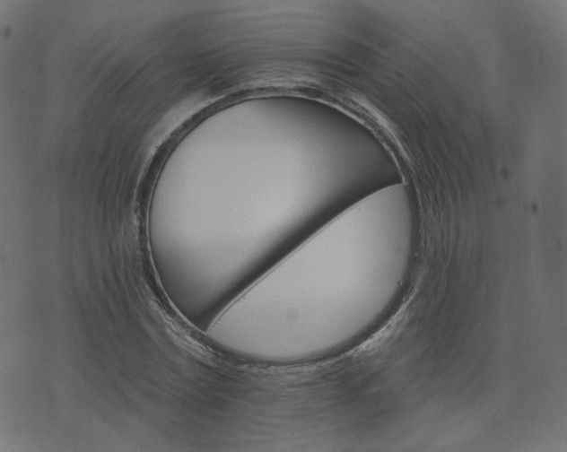 X0000076440779200610061256