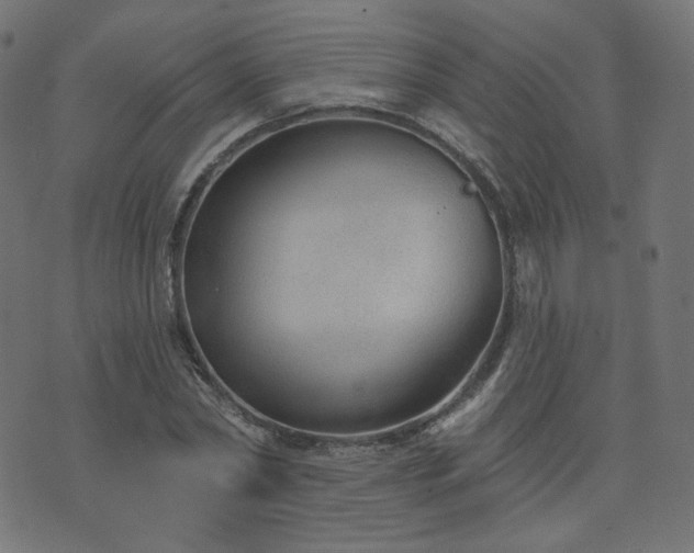 X0000076440782200610061256