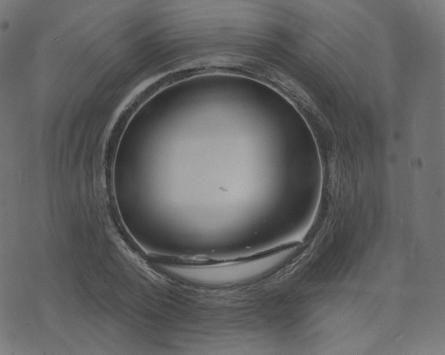X0000076440784200610061256
