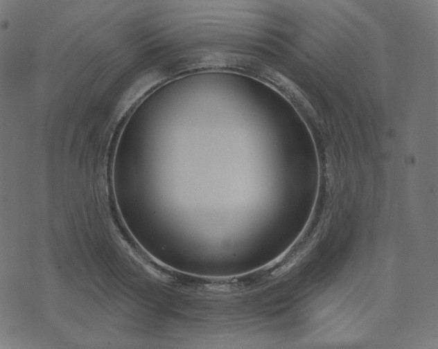 X0000076440794200610061256