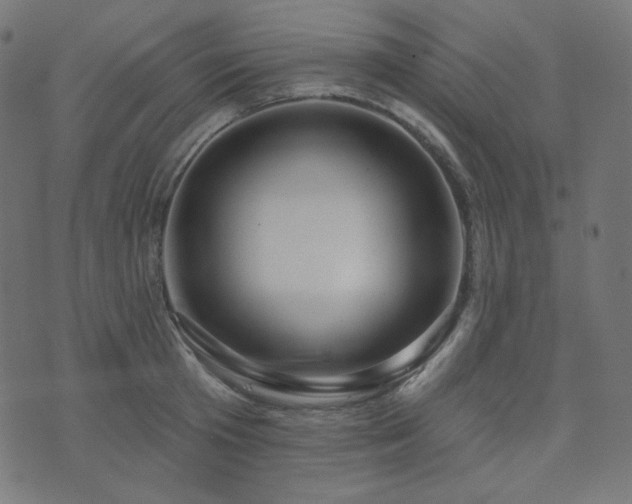 X0000076440801200610061256
