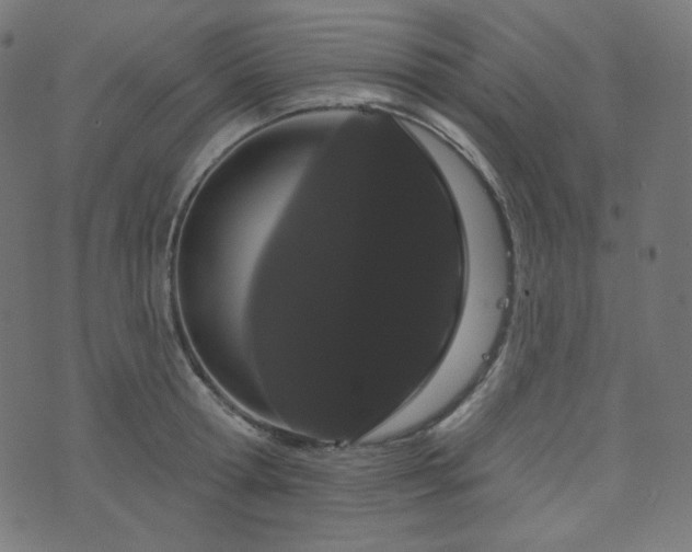 X0000076440802200610061256