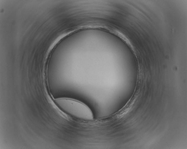 X0000076440803200610061256