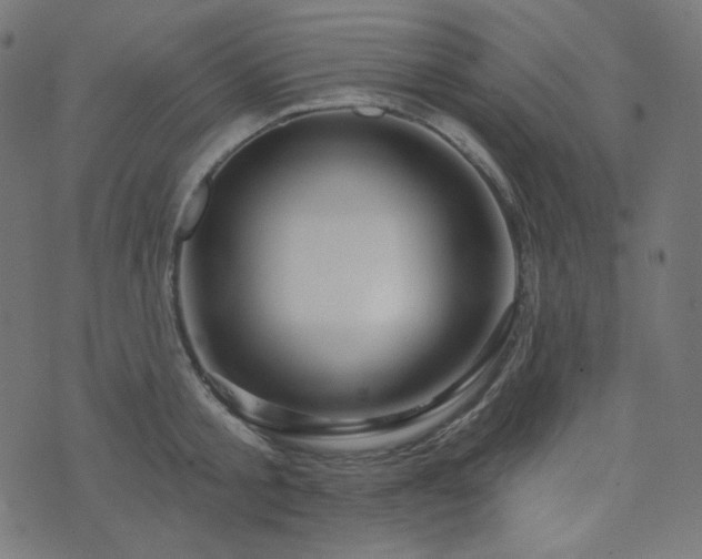 X0000076440805200610061256