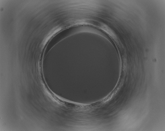 X0000076440806200610061256
