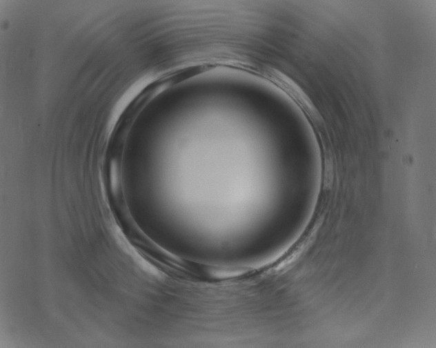 X0000076440812200610061256