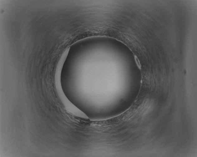 X0000076440817200610061255