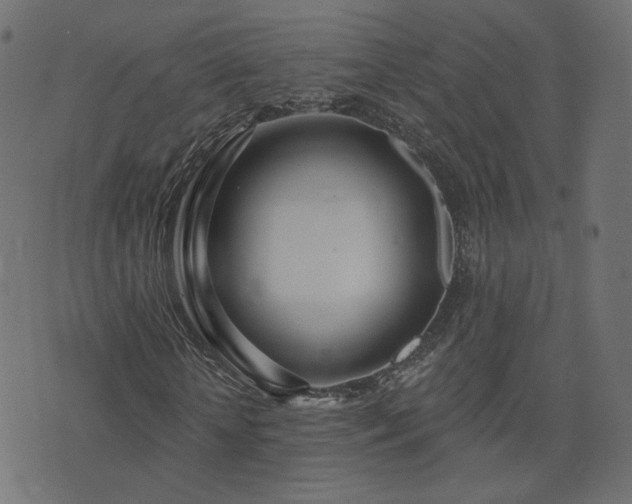 X0000076440818200610061255