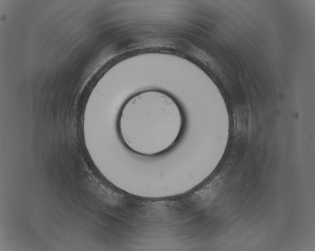 X0000076440828200610061255