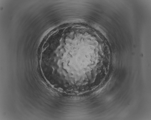 X0000076440829200610061255