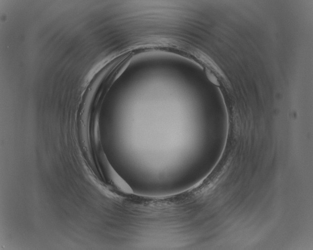 X0000076440842200610061255