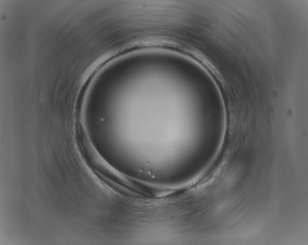 X0000076440853200610061255