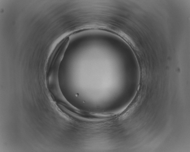 X0000076440854200610061255