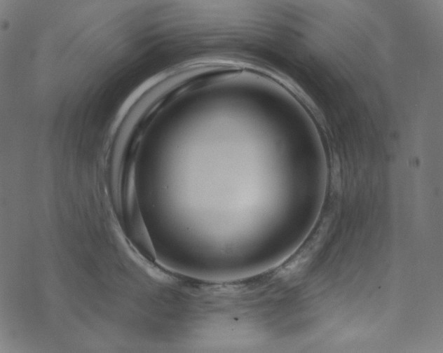 X0000076440862200610061256