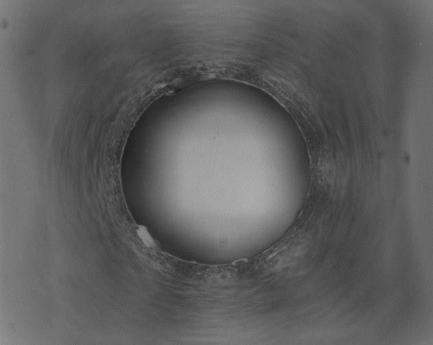 X0000076440865200610061255