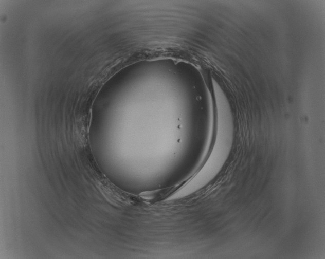 X0000076440868200610061255