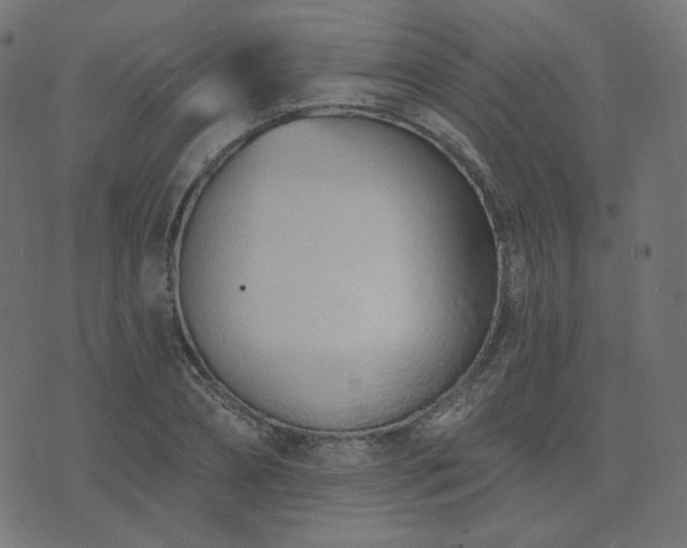 X0000076440882200610061254