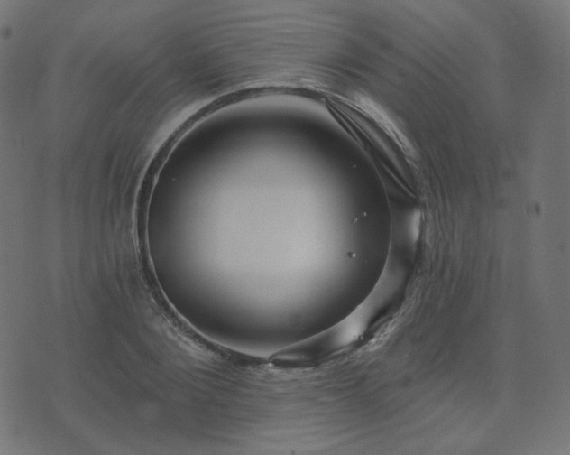 X0000076440884200610061254