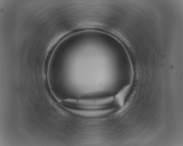 X0000076440885200610061254