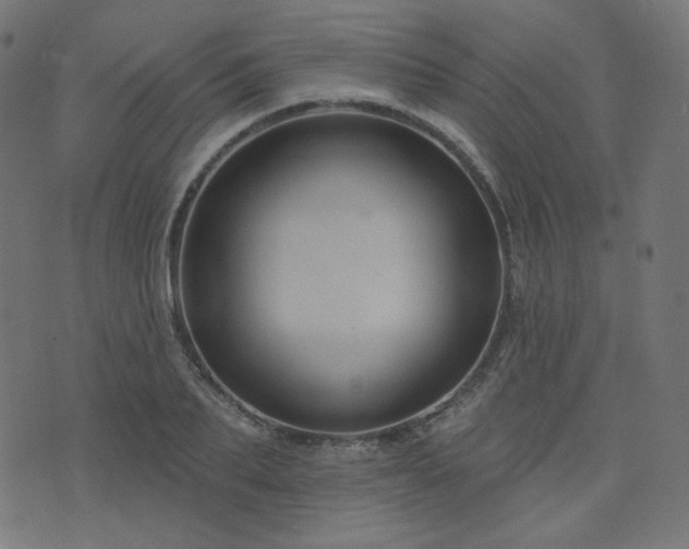 X0000076440887200610061254