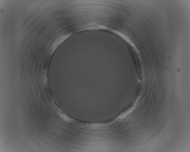 X0000076440889200610061254