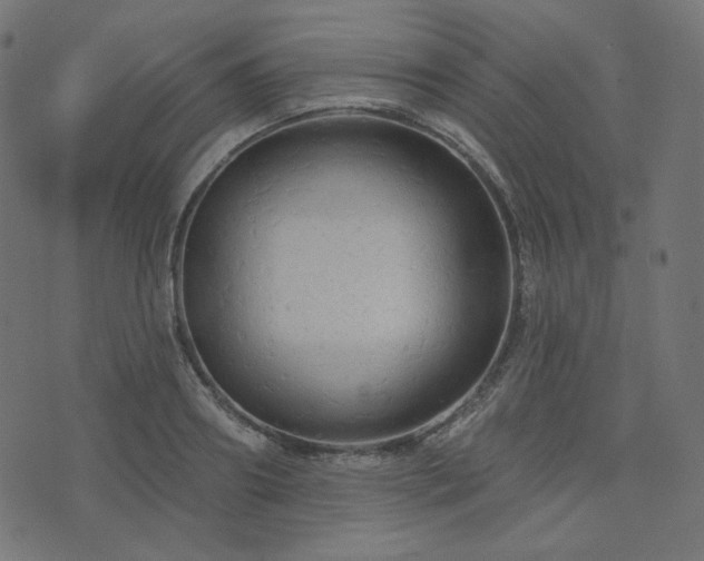 X0000076440890200610061254