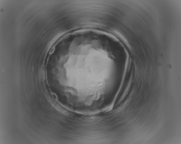 X0000076440891200610061254
