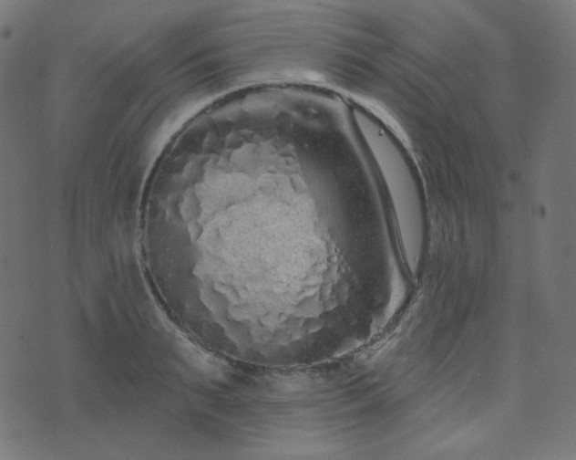 X0000076440895200610061254