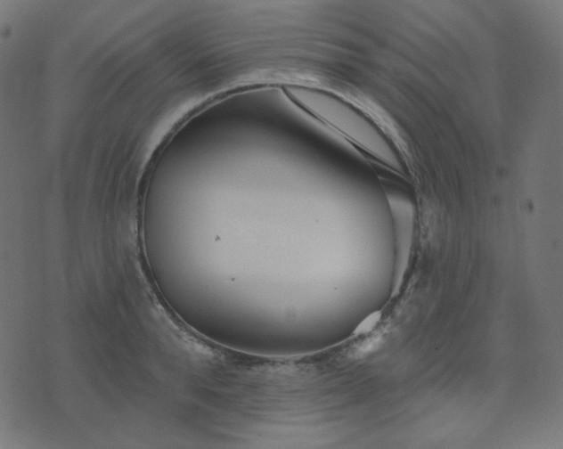 X0000076440896200610061254