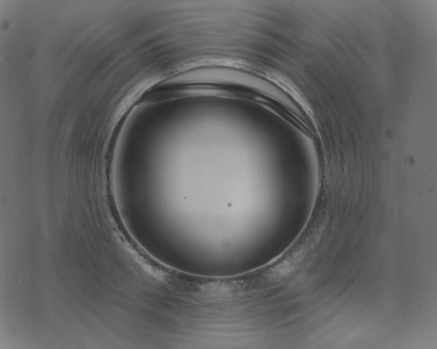 X0000076440898200610061254