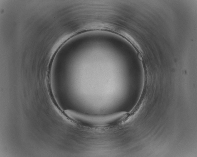 X0000076440901200610061254