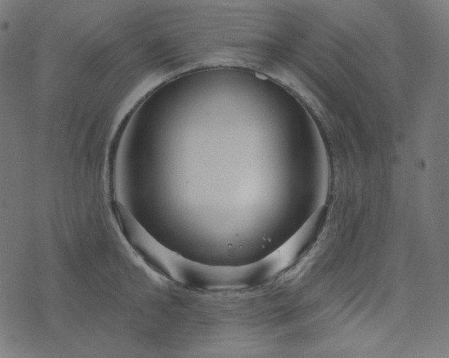 X0000076440902200610061254