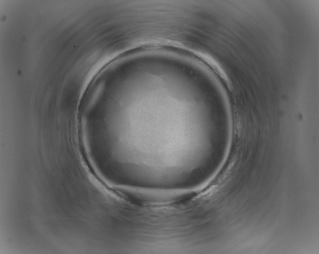 X0000076440903200610061254