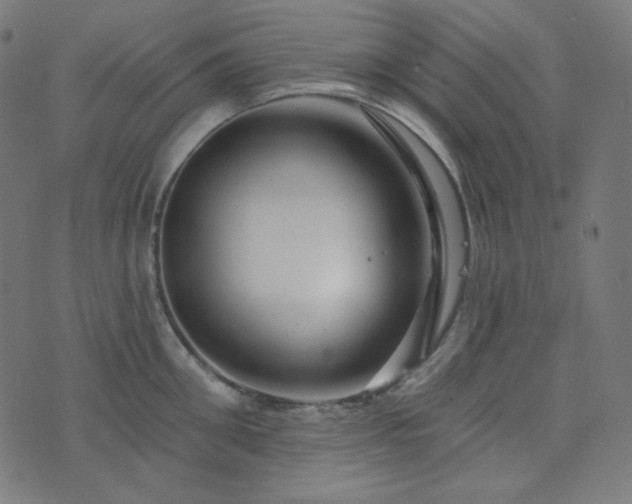 X0000076440906200610061254