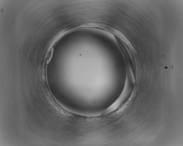 X0000076440908200610061254