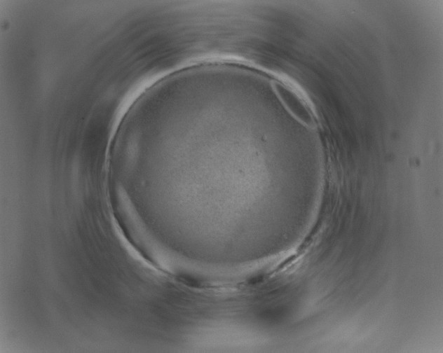 X0000076440911200610061254