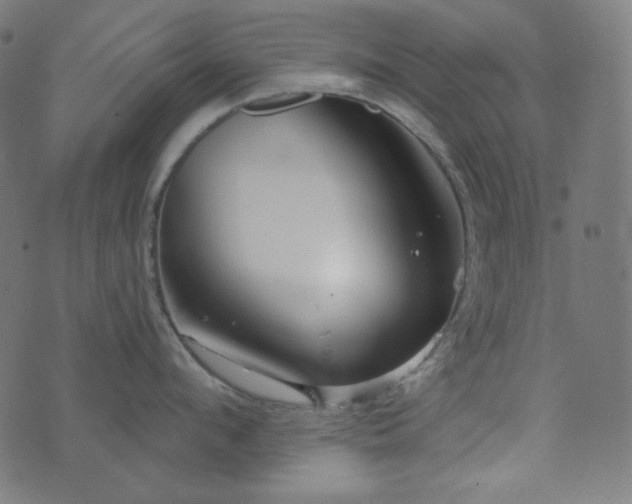 X0000076440912200610061254