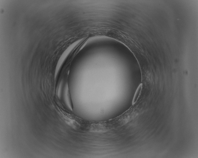 X0000076440914200610061253